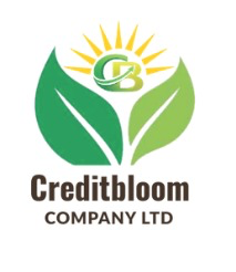 CreditBloom